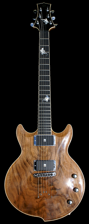 Custom Electrique Custom Electrique